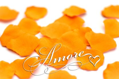 Picture of Silk Rose Petals Burnt Orange