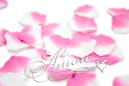 Picture of Silk Rose Petals Flamingo (White and Fuchsia)